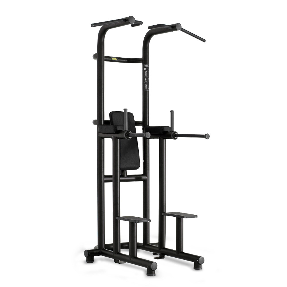 Technogym Chin Up / Dip / Leg Raise